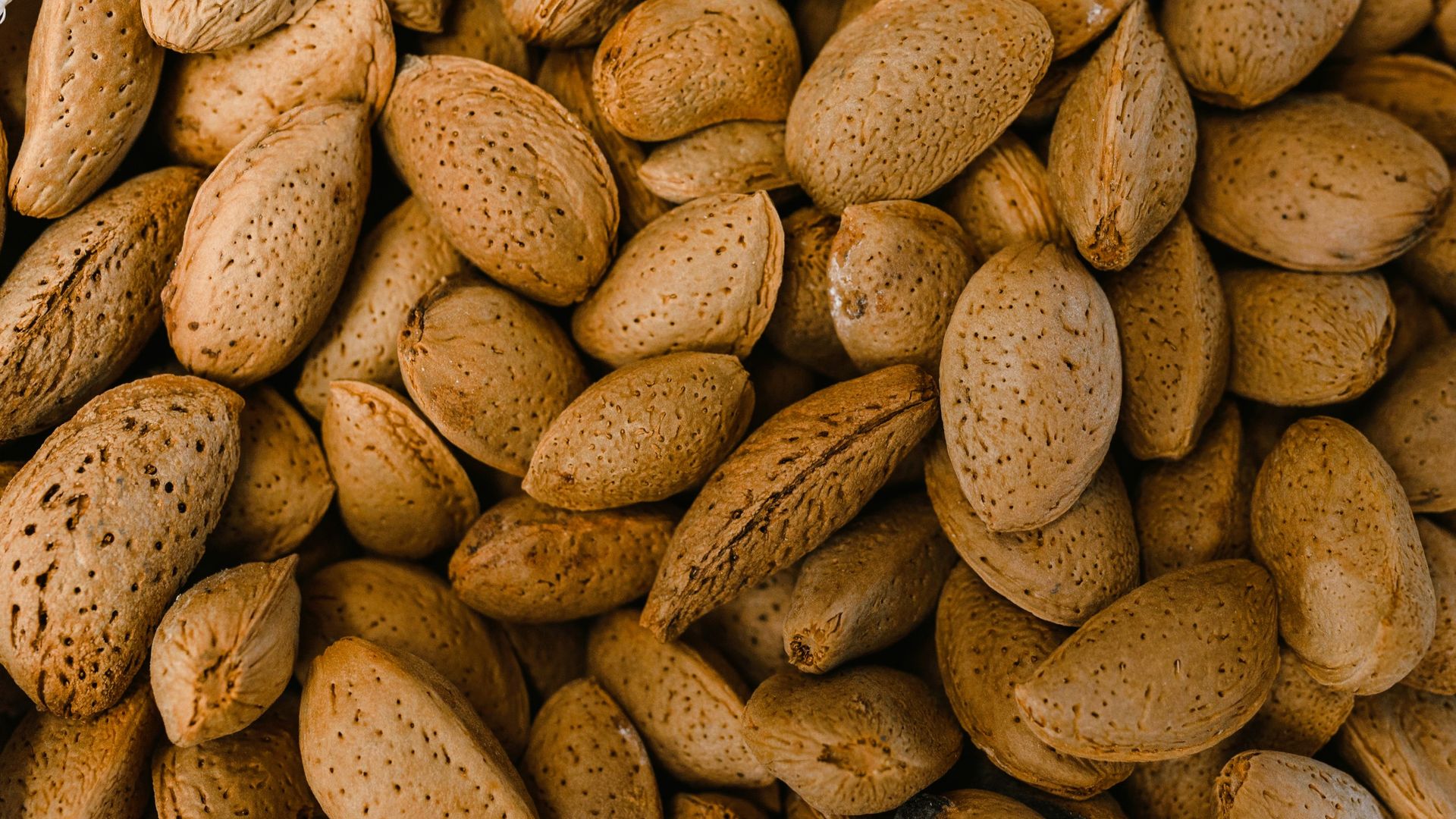 Inshell almonds