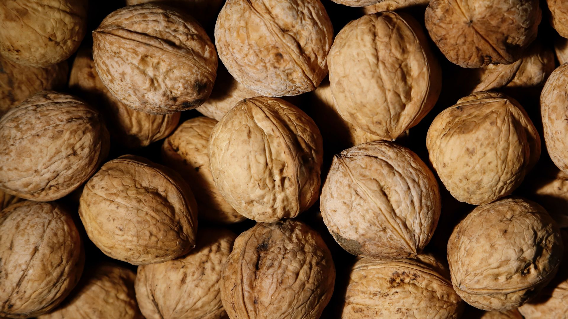 Inshell walnuts