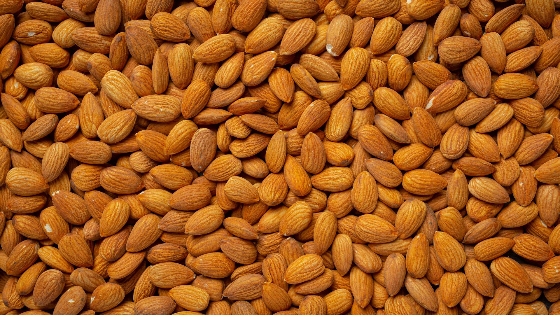 Top-down view of almond kernels
