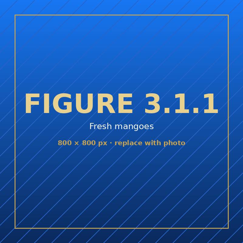 Mangoes — fresh fruit, coming soon