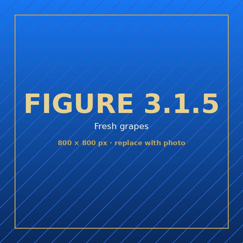 Grapes — fresh fruit, coming soon