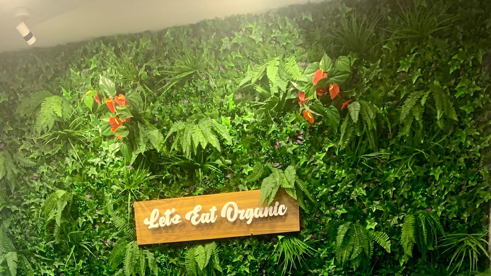 Reception with green wall at the Leo Global office, JLT