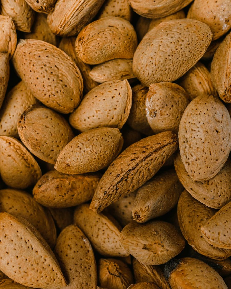 Inshell almonds